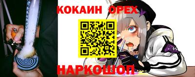 крисы Лесосибирск