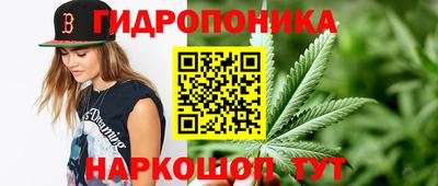 крисы Ливны