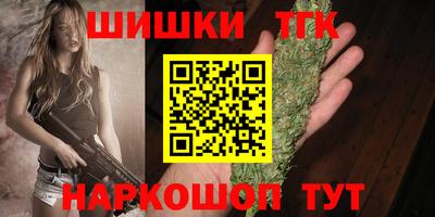 крисы Лесосибирск