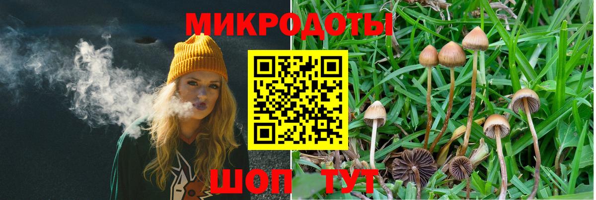 Галлюциногенные грибы Psilocybine cubensis Энгельс